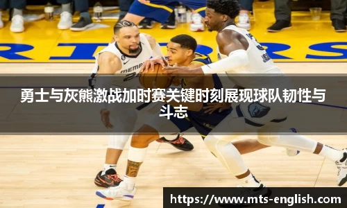 3003新葡的京集团官网